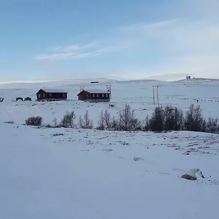 Moskusstuggu * Hjerkinn